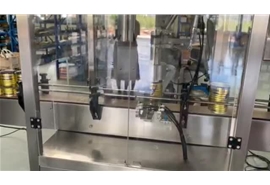 駱駝奶粉包裝生產線