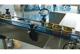 馬口鐵（tiě）高速伺服封罐機