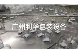 開心果，碧根果，巴達木，罐裝包（bāo）裝生產線